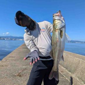 2025年釣行振り返り