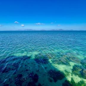 めで鯛かな？？