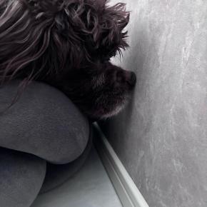 い〜い湯だな〜♪