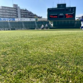 芝生の美しさにウットリ