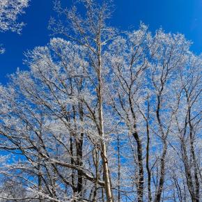 新年早々の、雪景色・・・