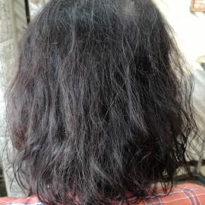 猛者がやってくるw