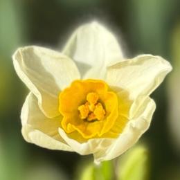 始まり始まり〜