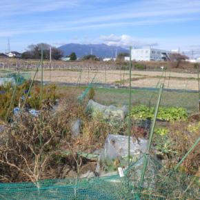 No.3530 2025年の振り返り