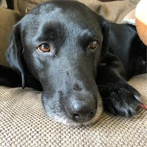 アメブロも日々進化している！