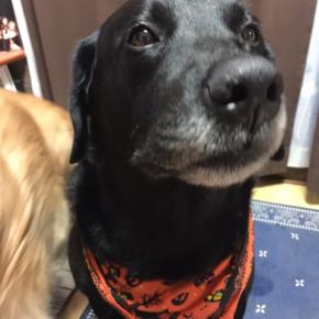 布団の中暑くない？息苦しくない？