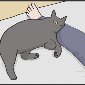 猫に足枕をしたい毎日