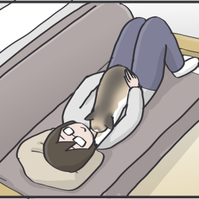 29日はぺーやんの日