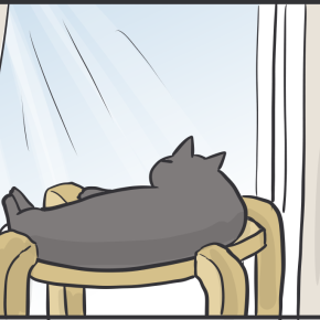 窓際と床を行き来する猫