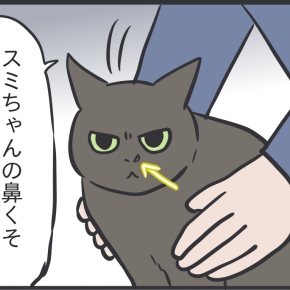 手を汚さない夫と嫌われる妻