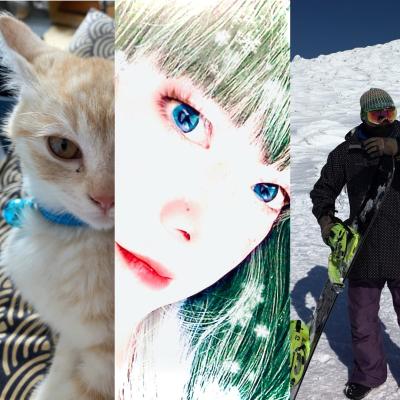 一晩でフォロワー900名超え！新アカウント作ってみた♪