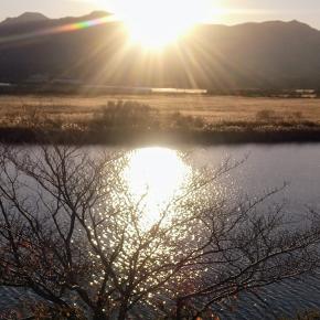 目標がひとつ増え、ブロ友さんと同じ空間を過ごしたと喜ぶ私