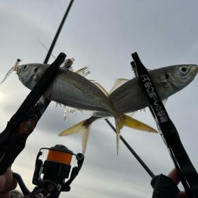 大阪フィッシングショーとアジングは心のメンテナンス