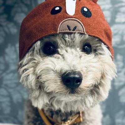 今年もありがとうございました良い年をお迎えください