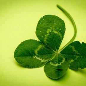 詩｢四つ葉のクローバー｣