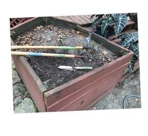 コンポストにカレー🍛