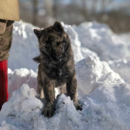 今日の心の栄養 （毎朝5:00に更新）