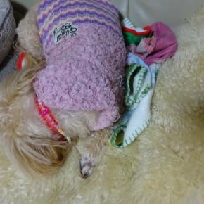 無事に設置完了