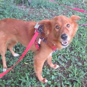 ミントちゃんのこれからが楽しみ！