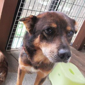 サンマ君のムキッパは・・・