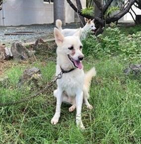 【10/31のニューフェイス】世間知らずの男の子達