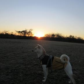 2026年 明けましておめでとうございます