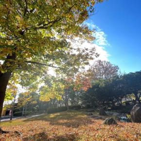 コロナ大丈夫なん？