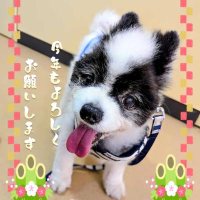 明けましておめでとうございます🌅