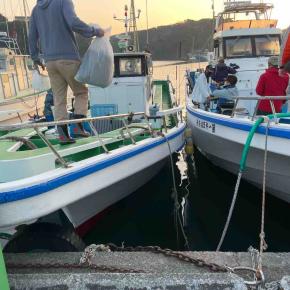 泳がせ修行@やまはち丸