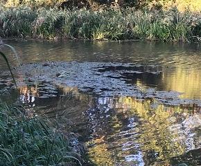 あと少しだけ・・・雷魚釣り楽しもう！