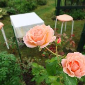 チチヤスヨーグルトに想う