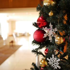 今年を振り返る①無気力に苦しんだ年／今日の写真・クリスマス
