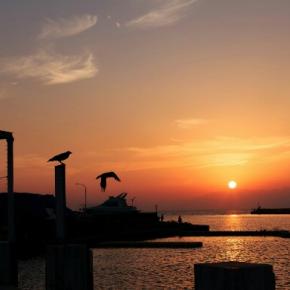 アル中は飲んでいないと嘘を吐く"断酒41日目"