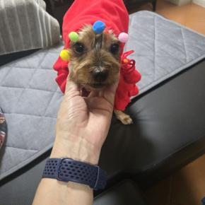 今年の漢字は？