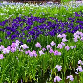 期末テスト目前！娘から“ヘルプ要請”入りました