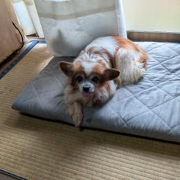 今日はここが暖かいワン＾＾