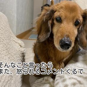 何でも早めが正解