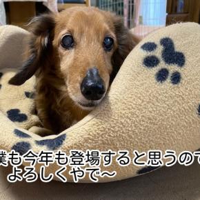 明けましておめでとうございます