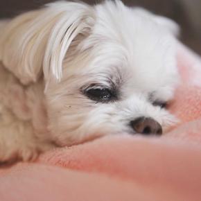 憂鬱な気分で引越しNOW