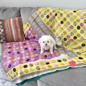 シドニーで家探し②