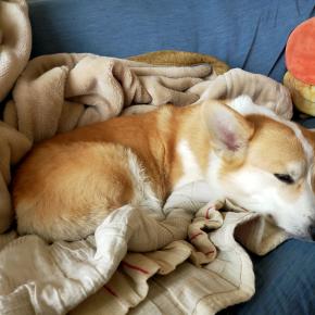 ☆嘔吐＆血便…☆