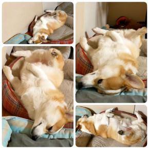 ☆今、自分にできる事…☆