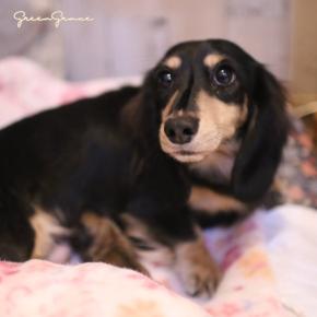 産まれました♪