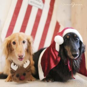 シャンプー de 里帰り♪