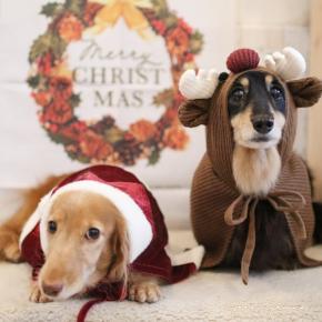 やる気のないサンタ