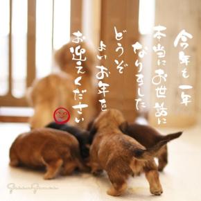 今年もお世話になりました♪