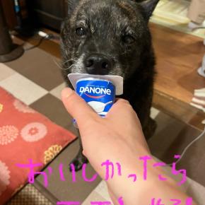 お盆に思うコト〜仲良く過ごしたい〜