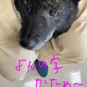 サンのアウトなオウト🤮。