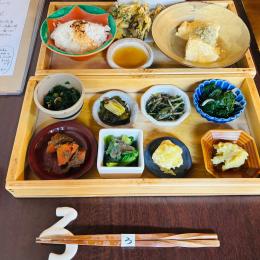 旅レポ＠初ひとり旅＜京都・下鴨編＞