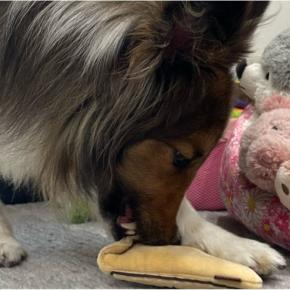 あっちでもこっちでも涙…